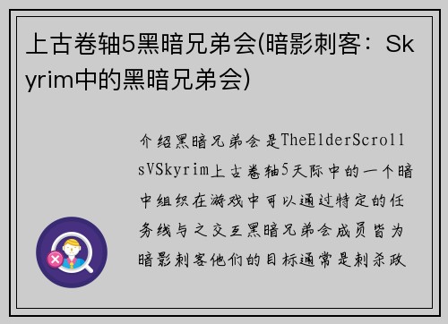 上古卷轴5黑暗兄弟会(暗影刺客：Skyrim中的黑暗兄弟会)